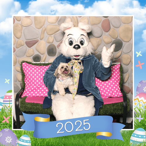 Little white dog sitting with the Easter Bunny