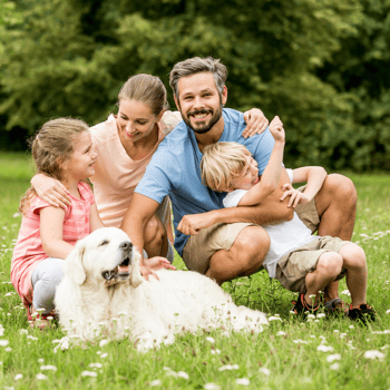 A family playing together in grass with spring flowers and their dog.