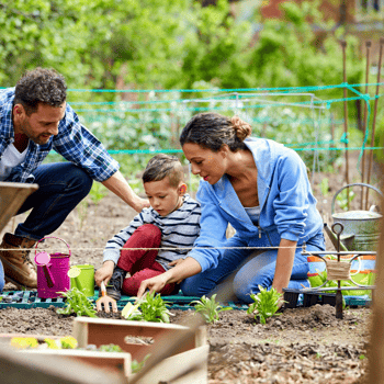 A family planting a garden together.