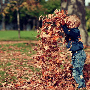 Toddler playing in a pile of leaves.