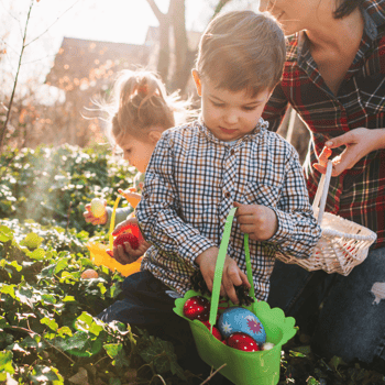A little boy and girl picking Easter eggs out of a bush with their mom.