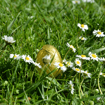 A golden egg in grass with flowers.