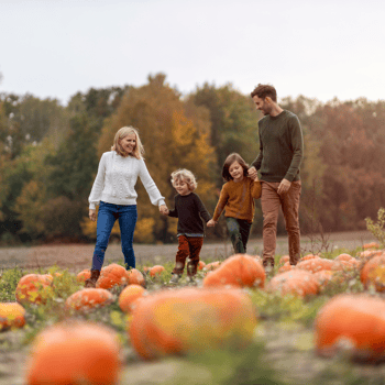 A family walking through the pumpkin patch together.