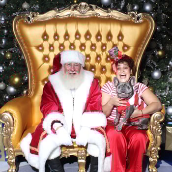 A beautiful french bulldog with his owner and Santa.