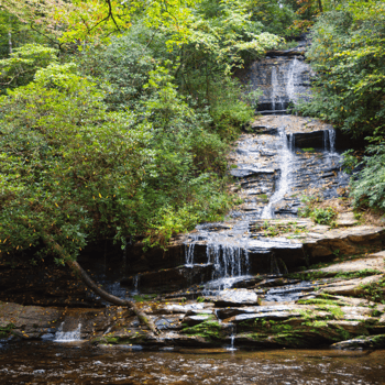 A waterfall surrounded by green trees and plants.