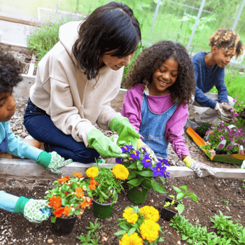 A family planting a garden together.
