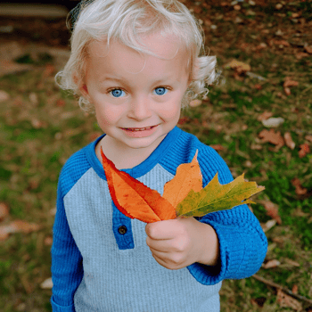 A little boy holding up colorful leaves.
