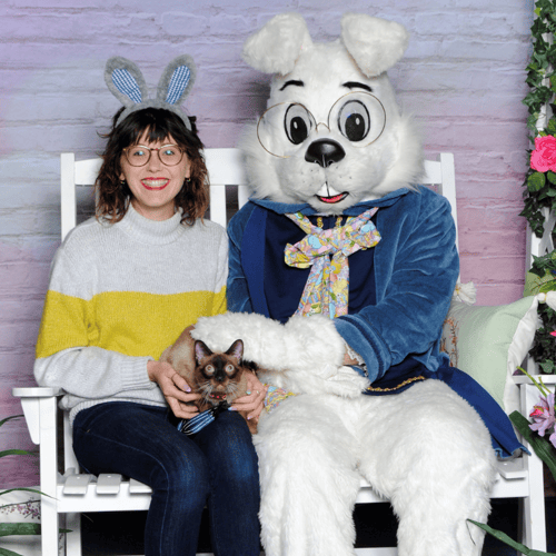 Bunny with a cat that looks terrified