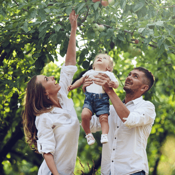 A mom, dad, and their baby picking an apple together.