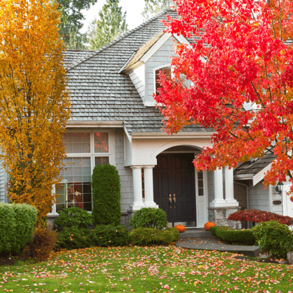 The front of a house with pumpkins on the porch and trees with colorful autumn leaves.