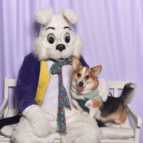 Bunny with a cute dog that has a huge smile