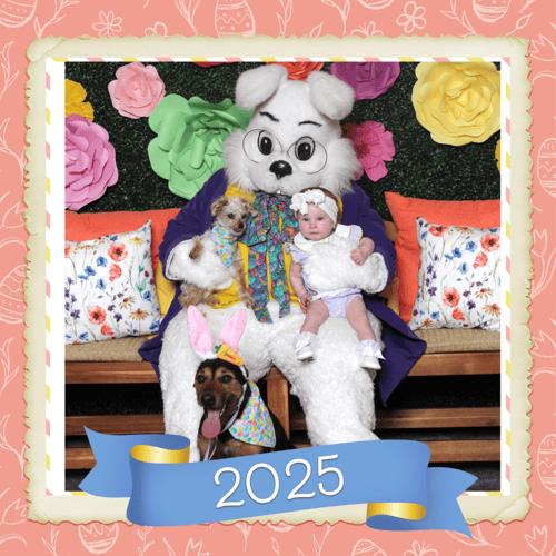 A baby and 2 dogs with the Easter Bunny
