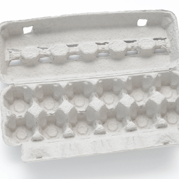 An empty egg carton.