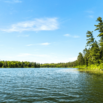 A lake surrounded by trees.