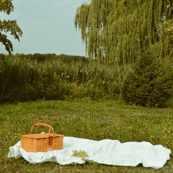 A picnic basket on a blanket in a green field.