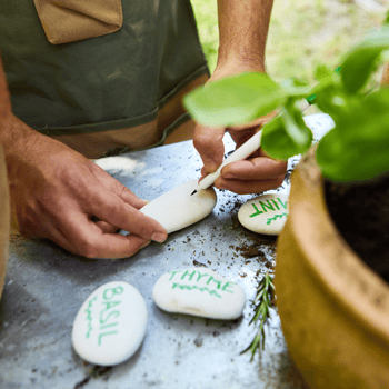 A man writing names of herbs on painted white rocks.