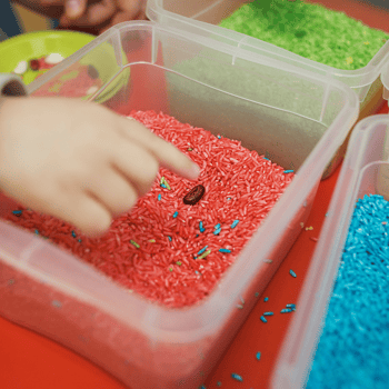 Different colored rice bins for a sensory box.