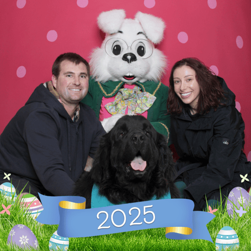 Large dog with paw-rents and Bunny