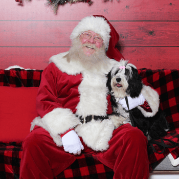 A cute black and white dog sitting with Santa.