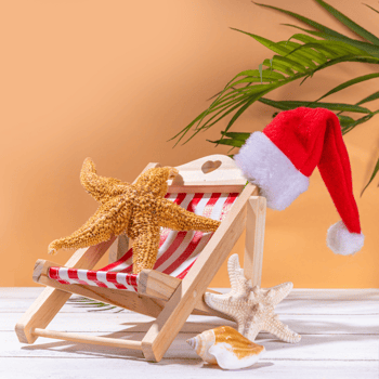 A starfish in a beach chair with a little Santa hat on it.