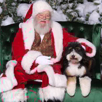 Santa with a dog with his tongue out.