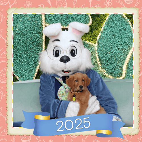 Puppy with the Easter Bunny