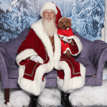 Fuzzy little dog with a red sweater and hat sitting with Santa.
