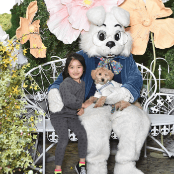A puppy in a cute white outfit with their owner and the Easter bunny.