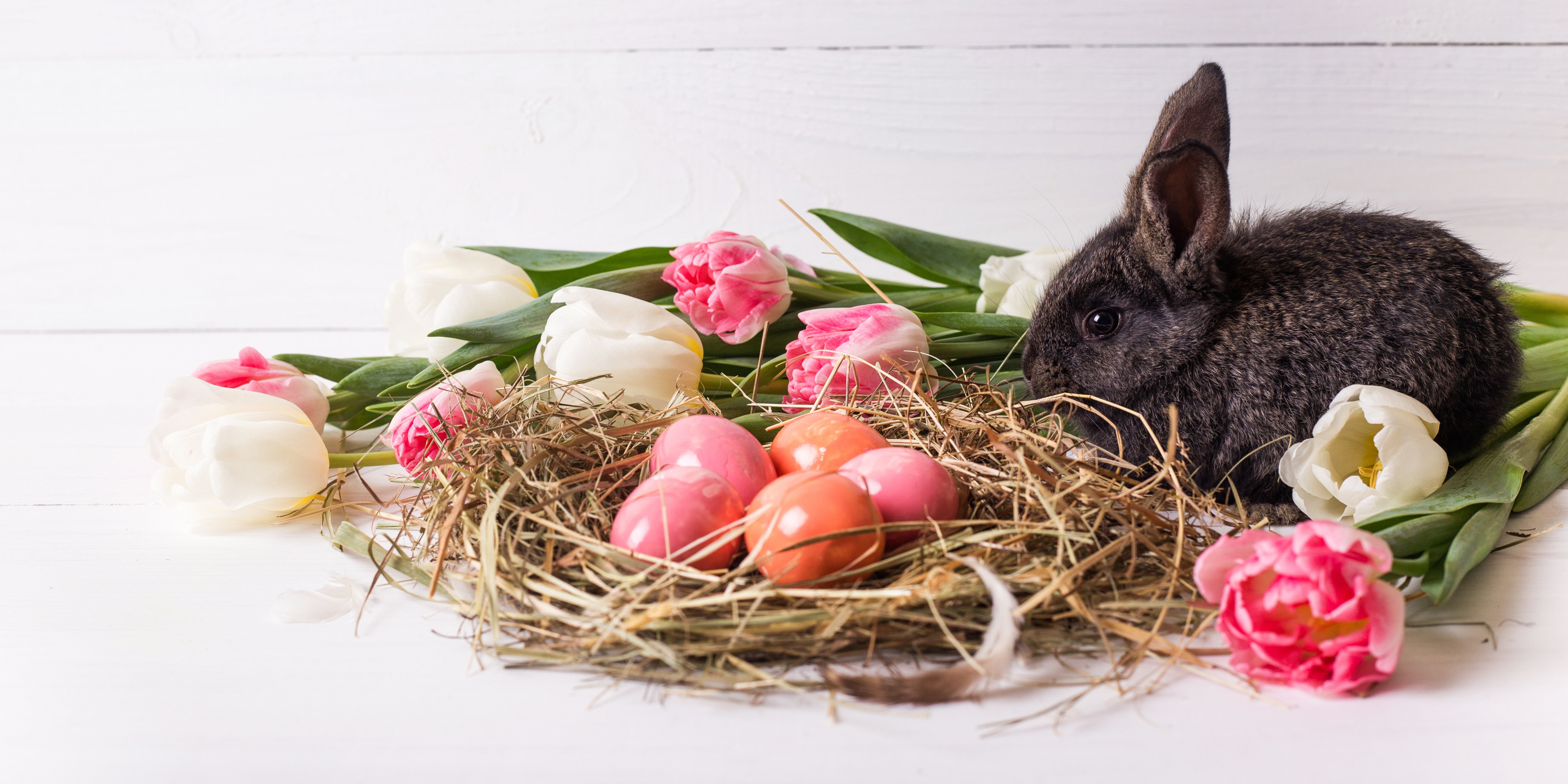 easter-bunny-with-basket-of-eggs-and-flowers-rabbit-spring