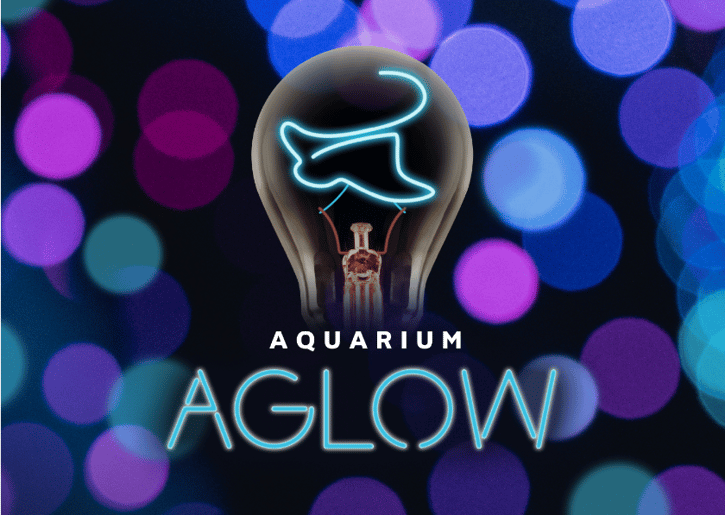Aquarium AGlow