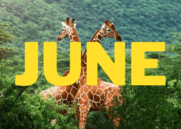 June holidays 2024 zoo and aquarium month