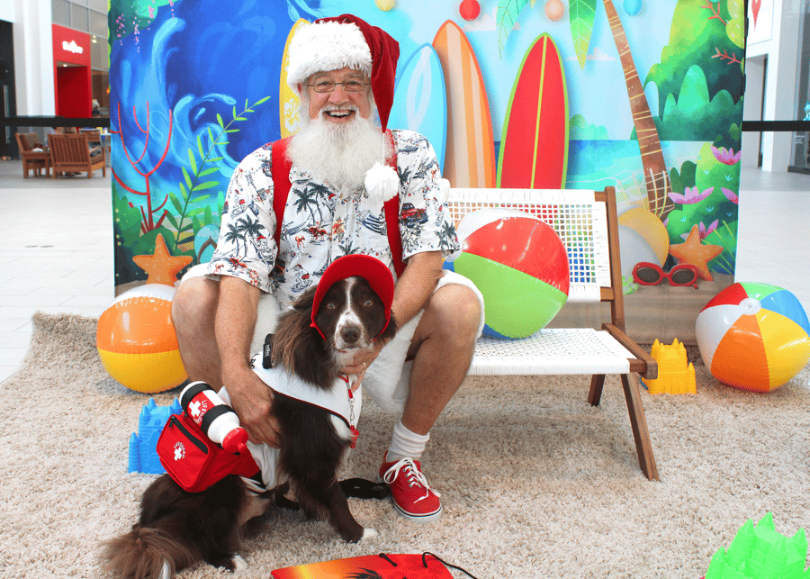 christmas in july photos with Santa and pets dogs cats