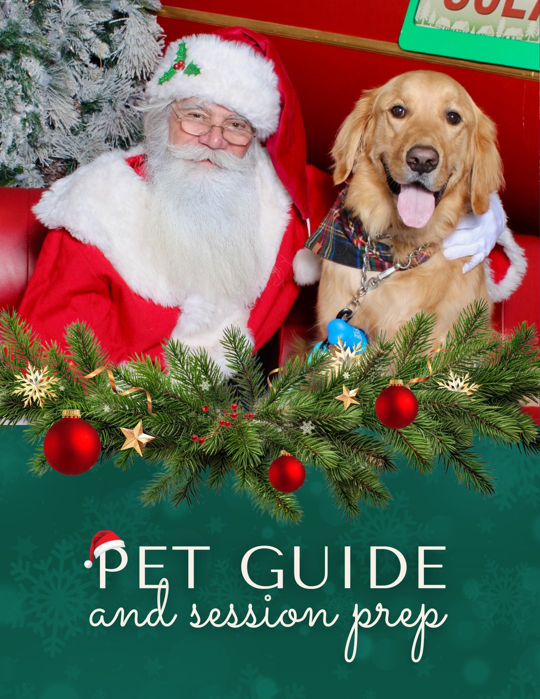 How to Prepare Your Pet for Santa Photos: Tips for a Fun and Festive ...