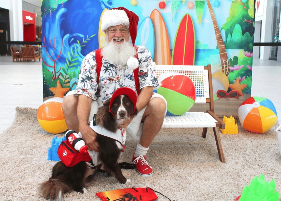 Christmas in July dog with santa photos with summer santa