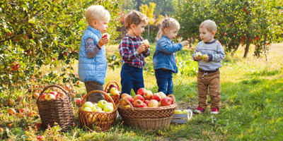 20 Fall Activities Your Family Will Love