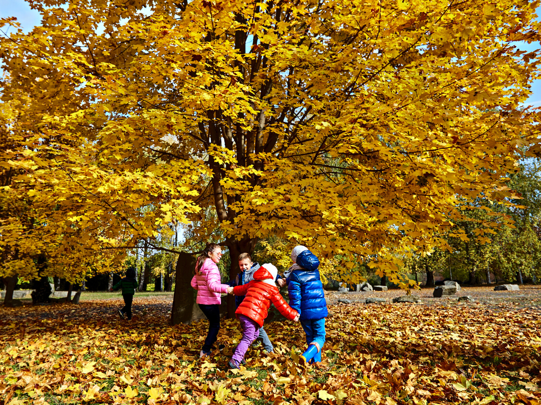 Fall_activities_1leaves