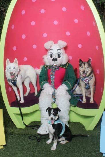 Km5gbvth The Mall in Columbia