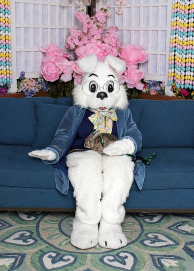 LJX4CRTB Smith Haven Mall 02