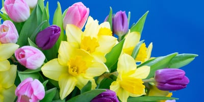 Holidays to Celebrate in May with Your Family and Friends