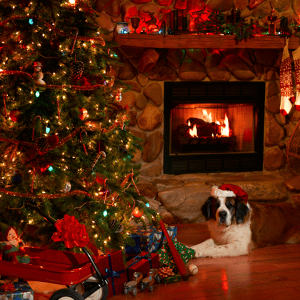 Nostalgia christmas setup with a fireplace, dog in a Santa hat, and tree with colored lights.