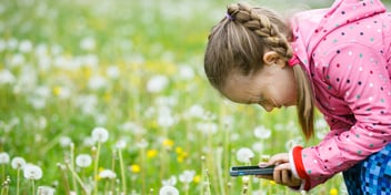girl taking photo with phone outside in a grassy meadow with dandelions 