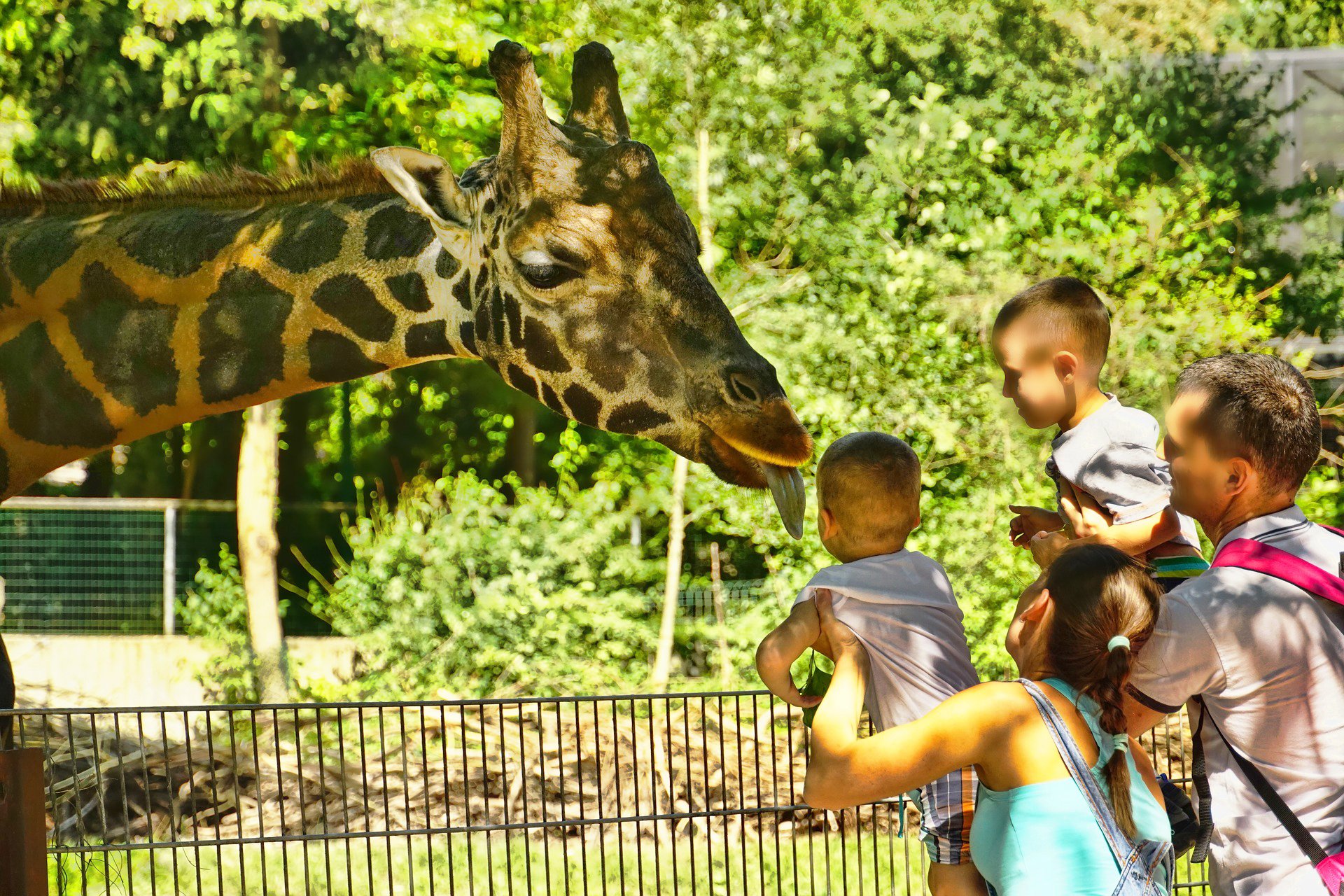 Walk on the Wild Side! 9 Tips for Visiting Your Local Zoo or Aquarium