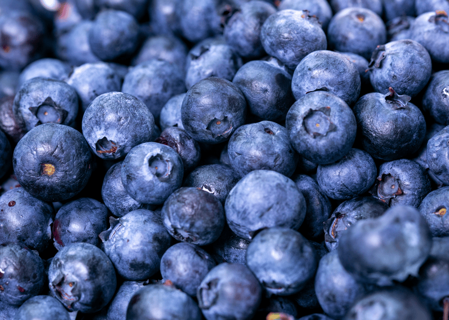 july holidays blueberry month