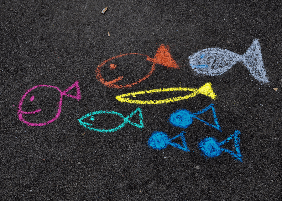 chalk fish