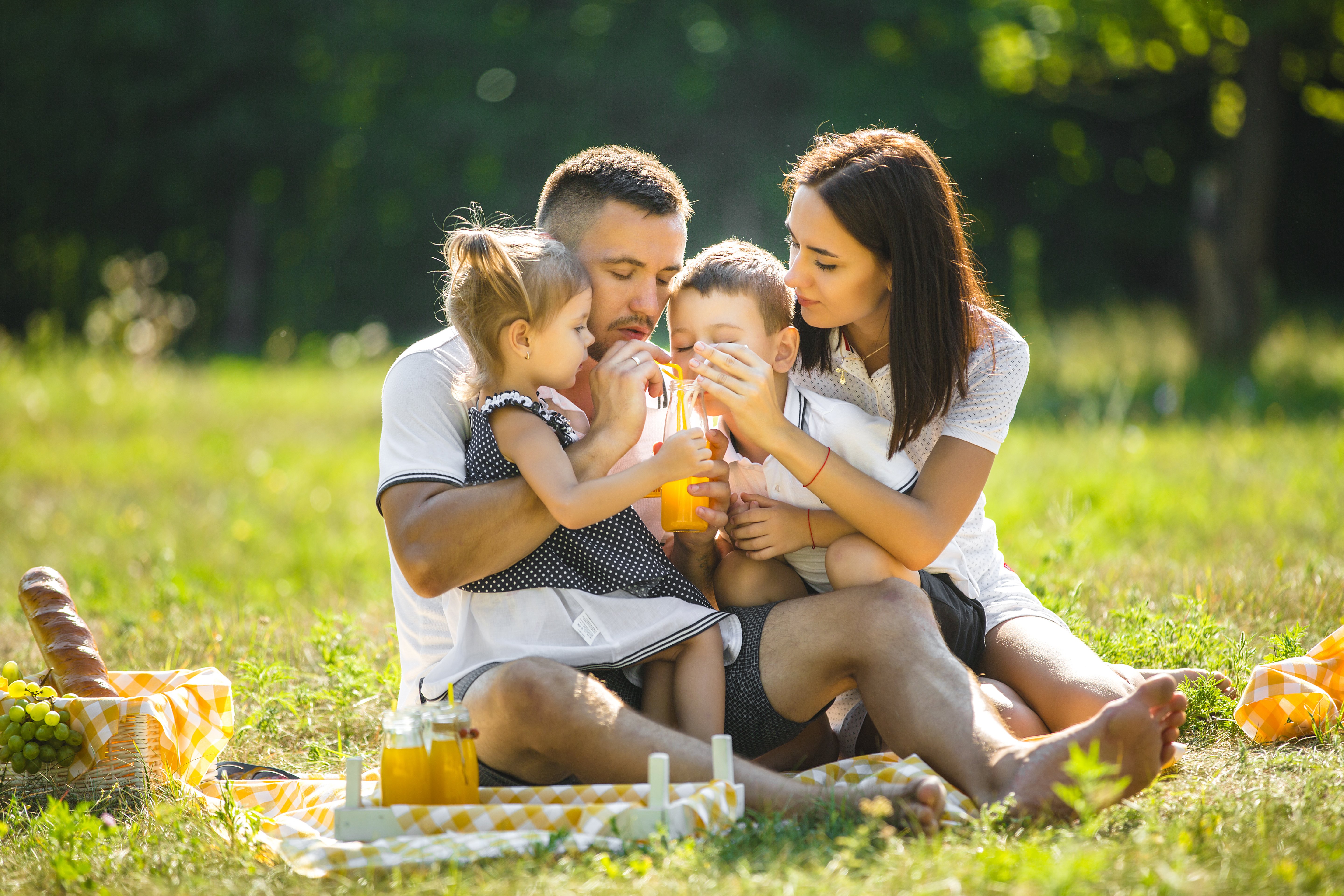 picnic-family-sunny-day