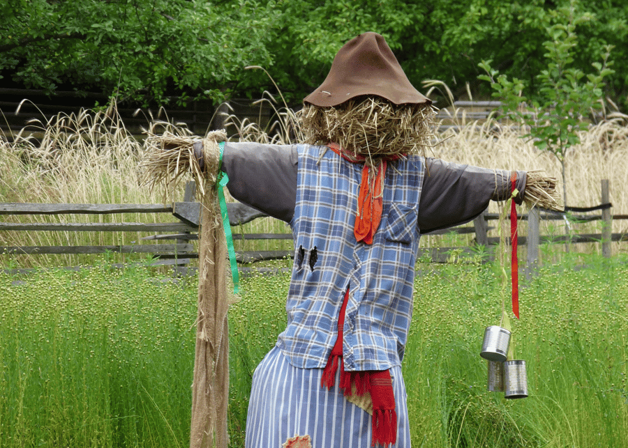 build a scarecrow day in july