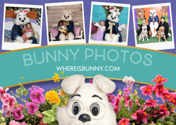 Bunny Blog Banner